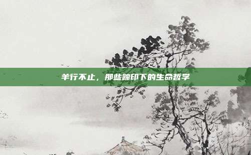 羊行不止，那些蹄印下的生命哲学