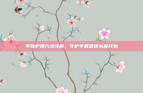 羊蹄护理方法详解，守护羊群健康从蹄开始