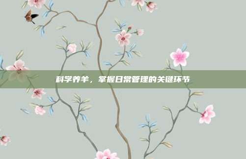 科学养羊，掌握日常管理的关键环节
