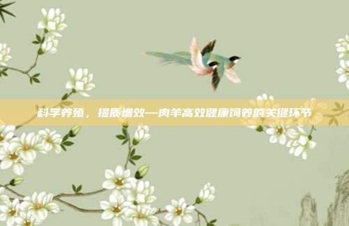 科学养殖，提质增效—肉羊高效健康饲养的关键环节