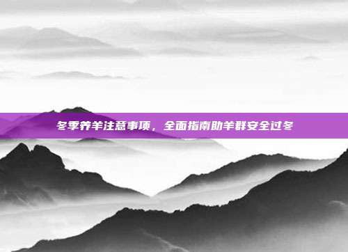 冬季养羊注意事项，全面指南助羊群安全过冬