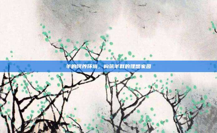 羊的饲养环境，构筑羊群的理想家园