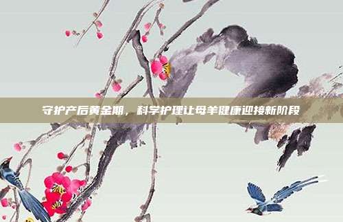 守护产后黄金期，科学护理让母羊健康迎接新阶段