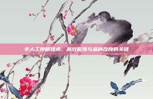 羊人工授精技术，高效繁殖与品种改良的关键