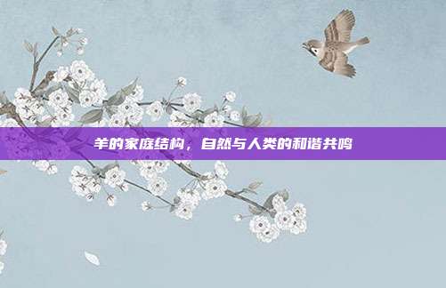 羊的家庭结构，自然与人类的和谐共鸣