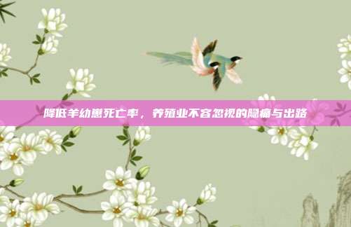 降低羊幼崽死亡率，养殖业不容忽视的隐痛与出路