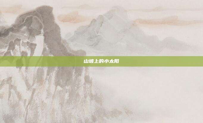 山坡上的小太阳