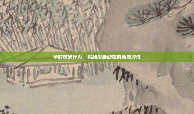 羊的筑巢行为，揭秘反刍动物的休息习性