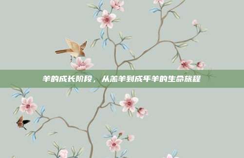 羊的成长阶段，从羔羊到成年羊的生命旅程