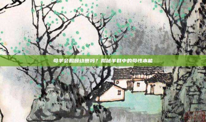 母羊会照顾幼崽吗？揭秘羊群中的母性本能