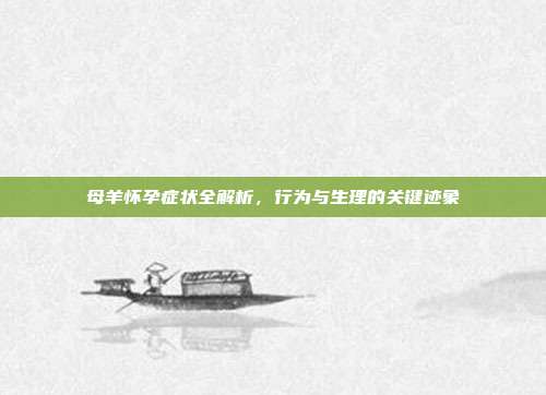 母羊怀孕症状全解析，行为与生理的关键迹象