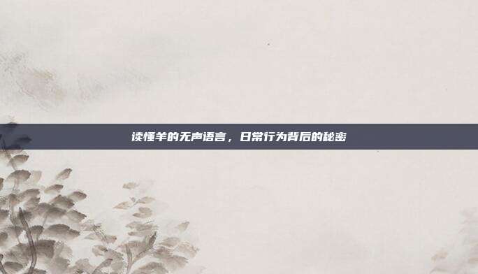 读懂羊的无声语言，日常行为背后的秘密