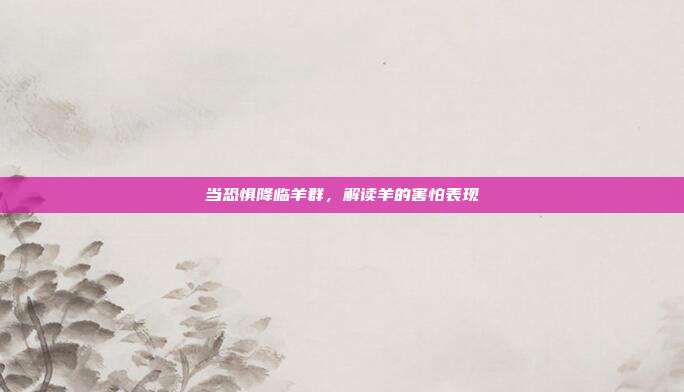 当恐惧降临羊群，解读羊的害怕表现