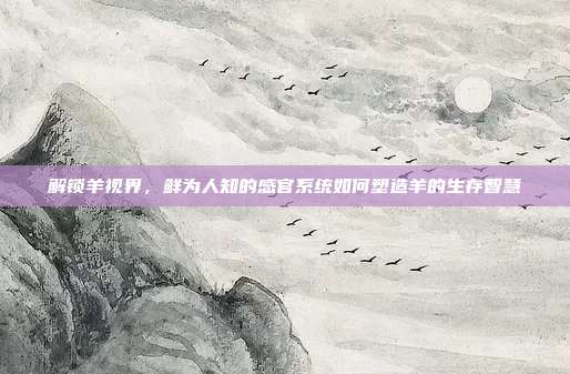 解锁羊视界，鲜为人知的感官系统如何塑造羊的生存智慧