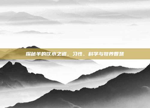 探秘羊的饮水之道，习性、科学与牧养智慧