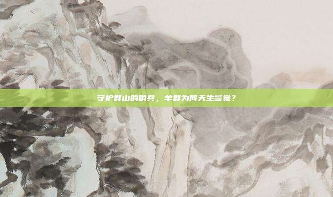 守护群山的哨兵，羊群为何天生警觉？