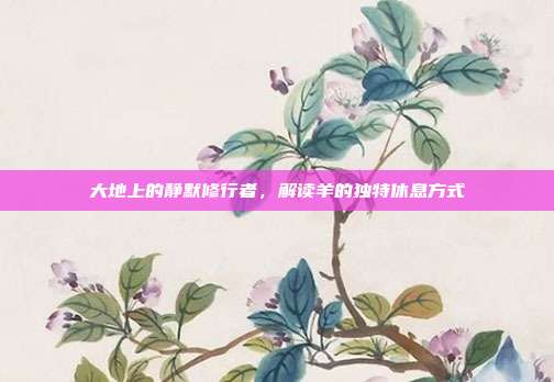 大地上的静默修行者，解读羊的独特休息方式