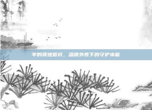 羊的领地意识，温顺外表下的守护本能
