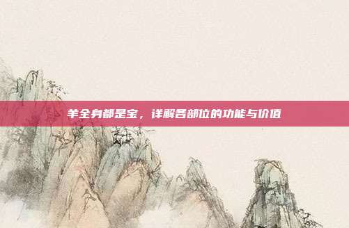 羊全身都是宝，详解各部位的功能与价值