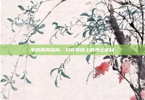 羊的肌肉结构，刻在骨骼上的风土密码