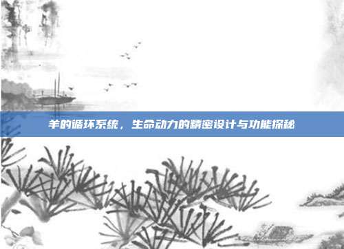 羊的循环系统，生命动力的精密设计与功能探秘
