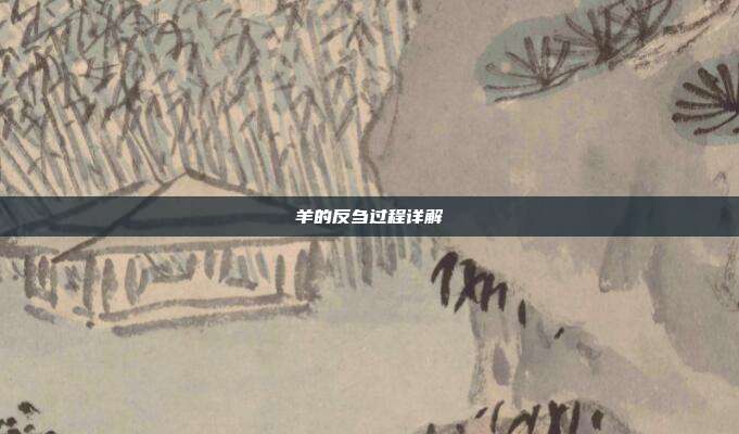 羊的反刍过程详解