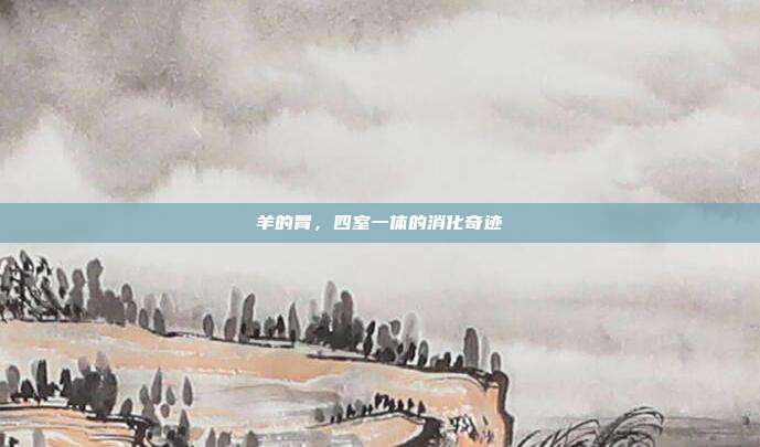 羊的胃，四室一体的消化奇迹