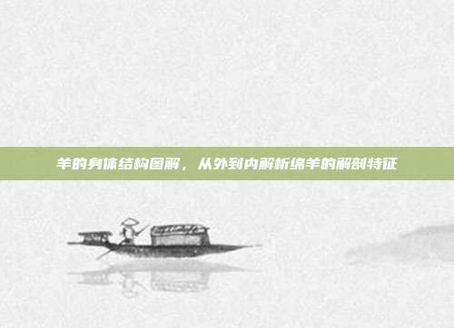 羊的身体结构图解，从外到内解析绵羊的解剖特征