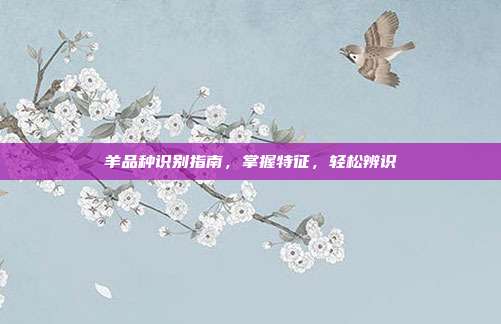 羊品种识别指南，掌握特征，轻松辨识