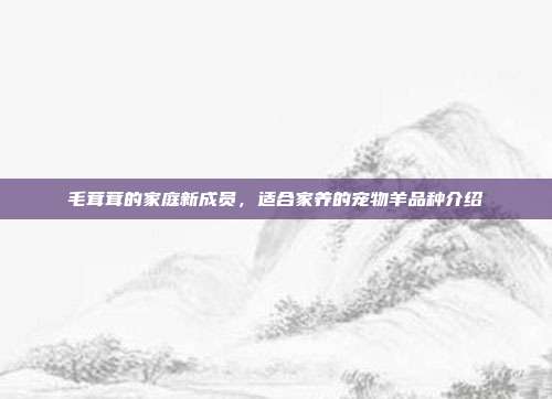 毛茸茸的家庭新成员，适合家养的宠物羊品种介绍