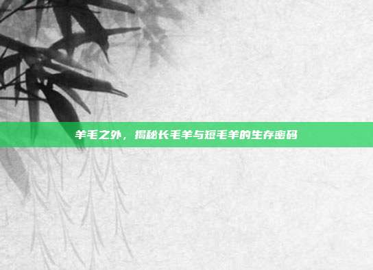 羊毛之外，揭秘长毛羊与短毛羊的生存密码