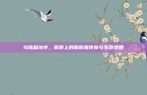 乌珠穆沁羊，草原上的脂肪尾传奇与生命馈赠