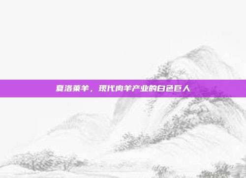 夏洛莱羊，现代肉羊产业的白色巨人