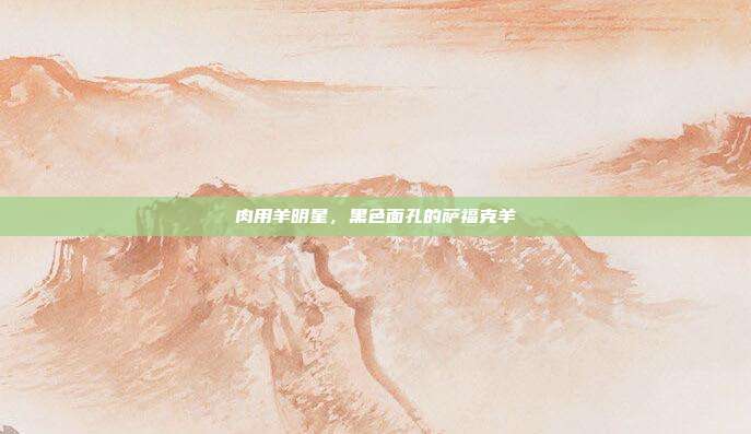 肉用羊明星，黑色面孔的萨福克羊