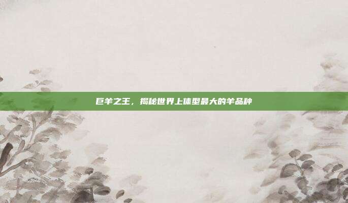 巨羊之王，揭秘世界上体型最大的羊品种