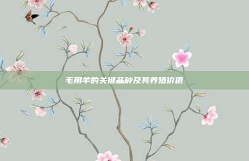 毛用羊的关键品种及其养殖价值