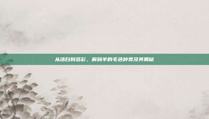 从洁白到多彩，解码羊的毛色种类及其奥秘
