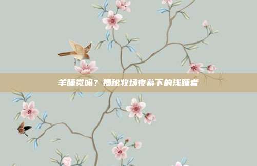 羊睡觉吗？揭秘牧场夜幕下的浅睡者