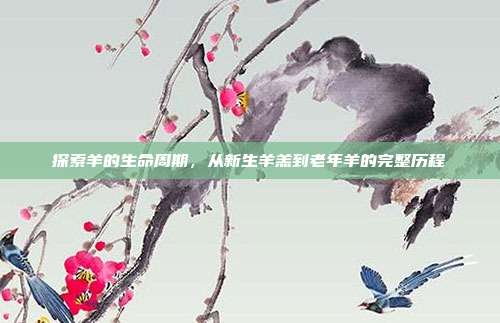 探索羊的生命周期，从新生羊羔到老年羊的完整历程