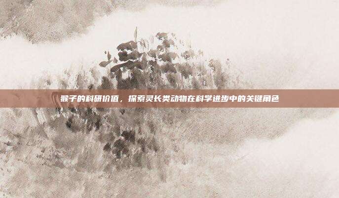 猴子的科研价值，探索灵长类动物在科学进步中的关键角色