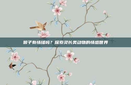 猴子有情绪吗？探索灵长类动物的情感世界