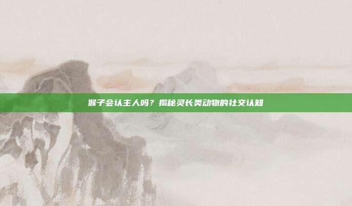猴子会认主人吗？揭秘灵长类动物的社交认知