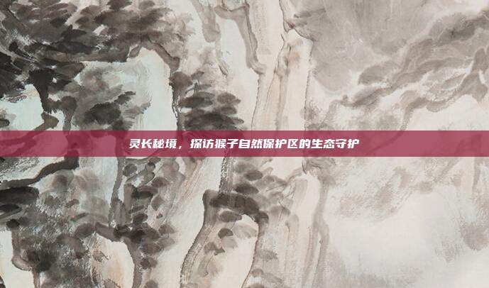 灵长秘境，探访猴子自然保护区的生态守护