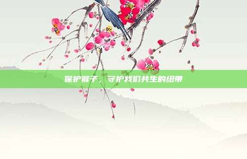 保护猴子，守护我们共生的纽带