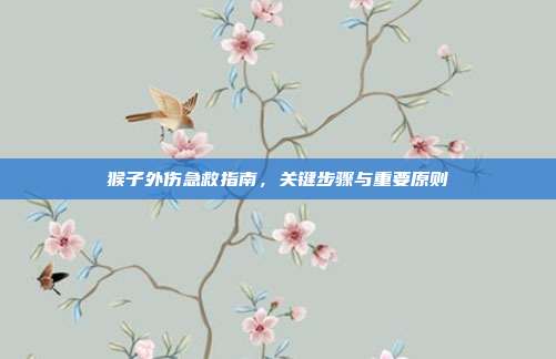 猴子外伤急救指南，关键步骤与重要原则