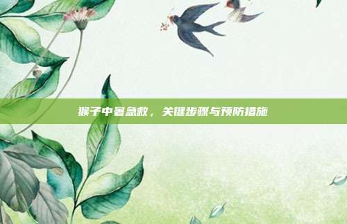 猴子中暑急救，关键步骤与预防措施