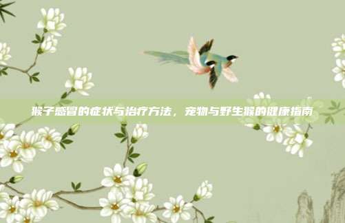 猴子感冒的症状与治疗方法，宠物与野生猴的健康指南