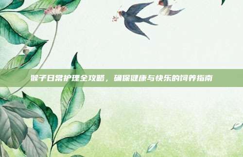 猴子日常护理全攻略，确保健康与快乐的饲养指南