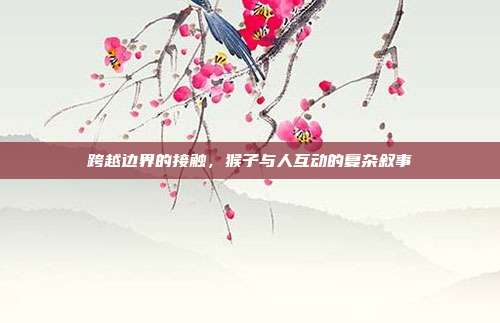 跨越边界的接触，猴子与人互动的复杂叙事