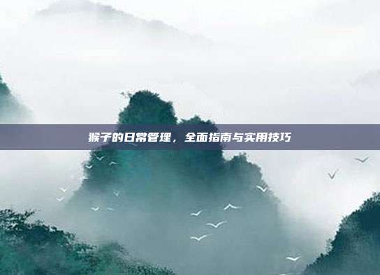 猴子的日常管理，全面指南与实用技巧